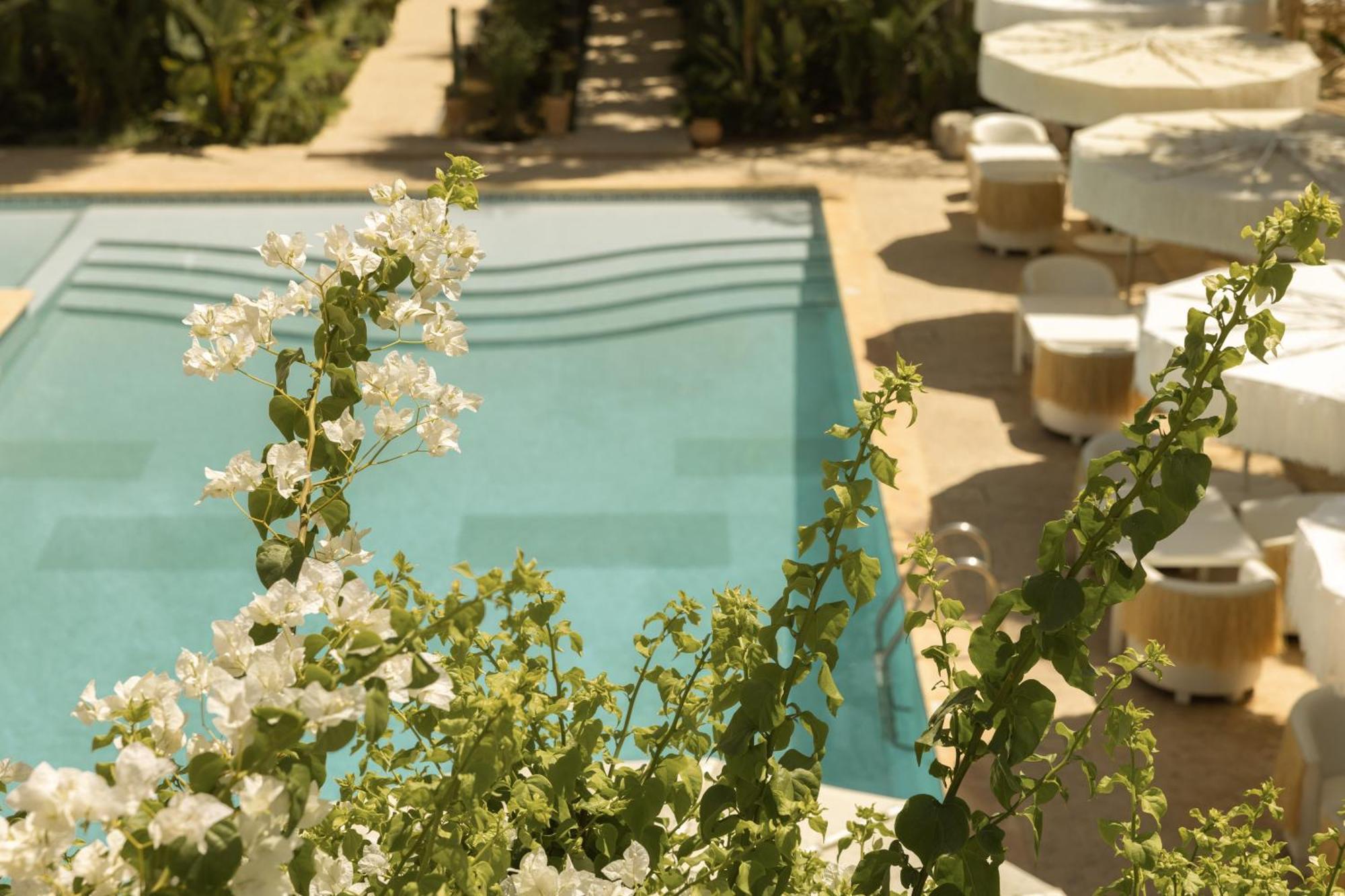 Les Palmiers Boutique Hotel & Spa Marakéš Exteriér fotografie